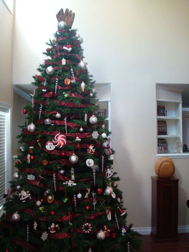 Christmas Tree 2009